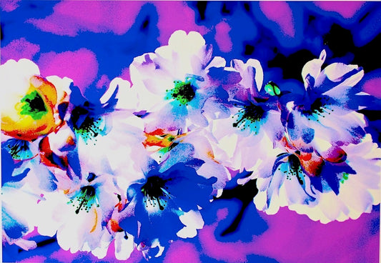FLOWERS of 68 "Multi Colors”