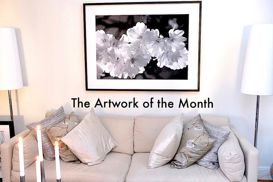 The Artwork of the Month